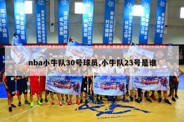 nba小牛队30号球员,小牛队23号是谁