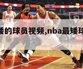 nba最矮的球员视频,nba最矮球员比赛视频