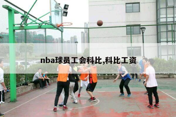 nba球员工会科比,科比工资